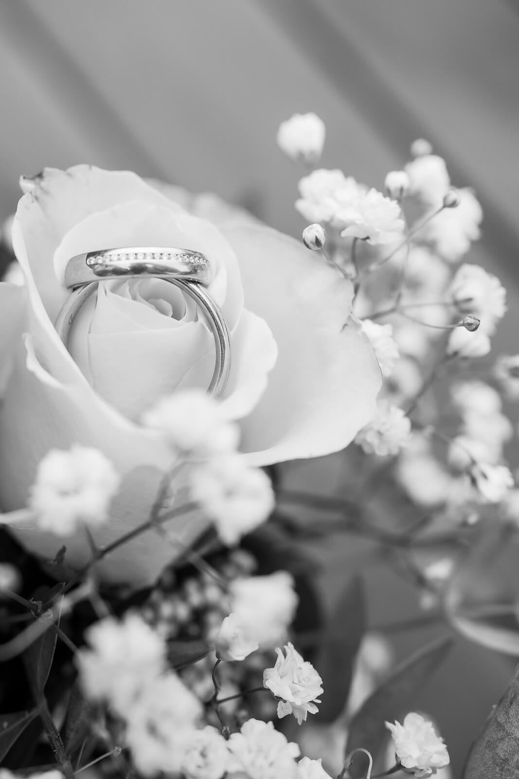 Hochzeit_hamburg_Elmshorn_Schleswig-Holstein_Hochzeitsfotograf_Anna-Lena Schaper