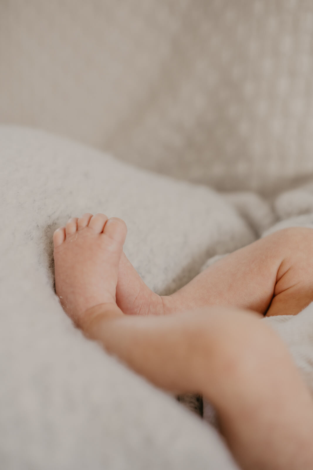 Newborn_ Baby_hamburg_Elmshorn_Schleswig-Holstein_Familienfotograf_Anna-Lena Schaper